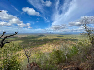 mount prince charlie townsville hike and explore